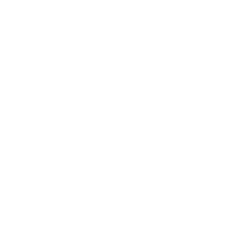 BE A LION LIFESTYLE
