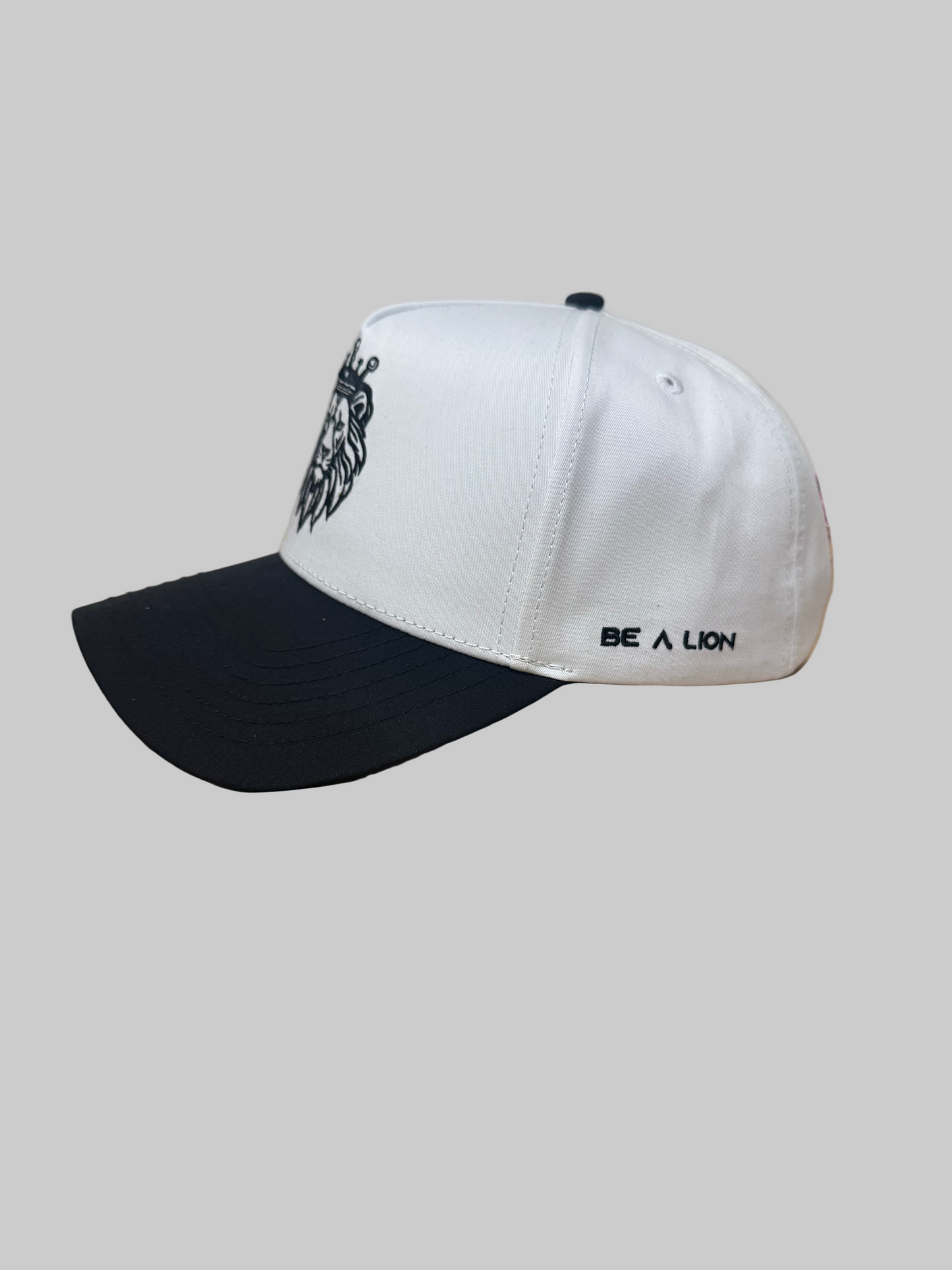 Two-Toned Performance Hat