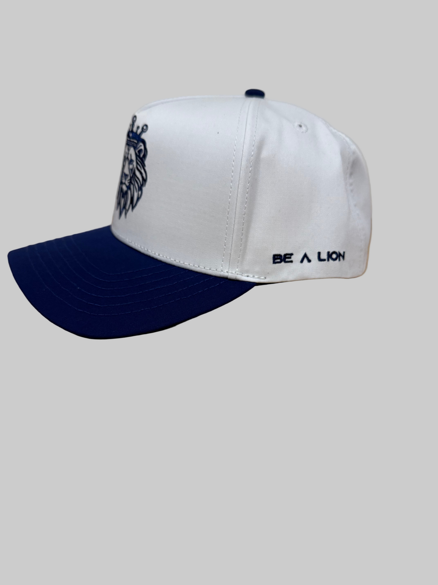 Two-Tone Performance Hat